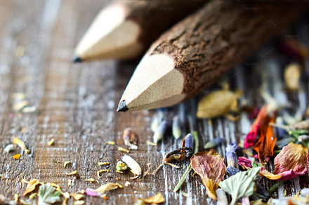 Natural Wooden Pencils