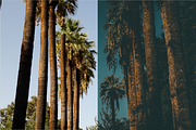 Deepy Moody Teal Lightroom preset, a Preset Add-On by SHOOM HOUSE (Thumbnail 3 of 12)