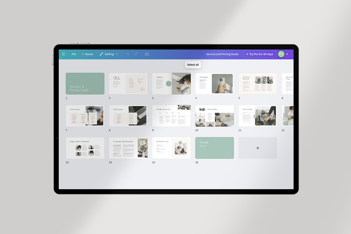 Service and Pricing Guide Canva, a Presentation Template by Lunaria (Photo 6 of 7)