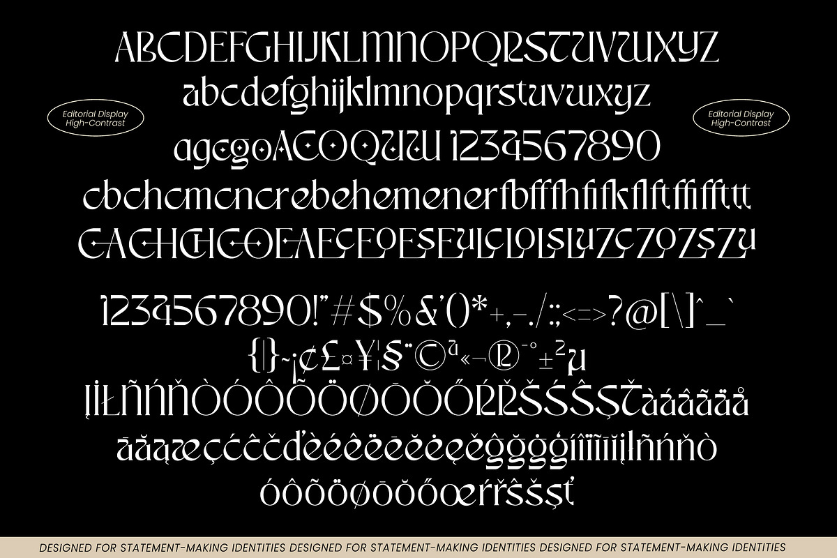 Tender Sweet Modern Editorial Serif, a Serif Font by AmorfaType (Photo 8 of 8)