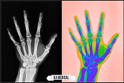 Thermography Infrared Profiles, a Plug-in Add-On by Raztrend (Thumbnail 19 of 30)