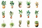 House Plant Plant Lovers clipart, an Illustration by Designworld (Thumbnail 7 of 8)