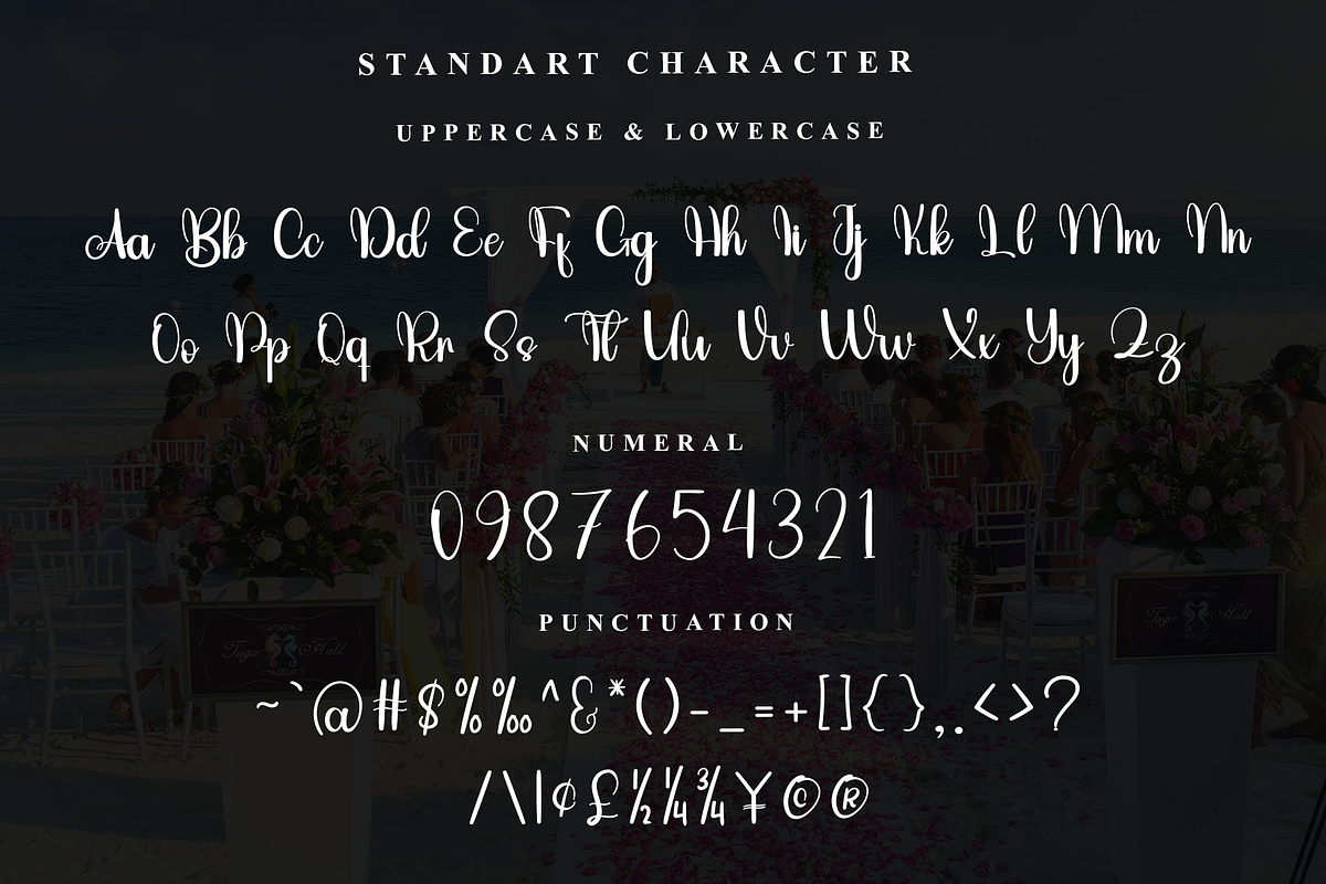 Darling, a Handwritten Font by FreshTypeINK (Photo 5 of 7)