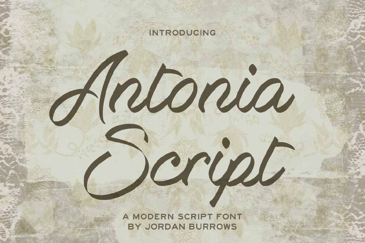 Antonia Script, a Font by FontMasons