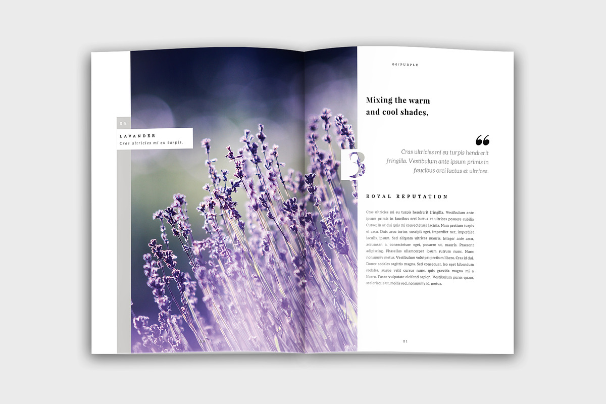 Colora - Bold, Clean Portfolio, a Brochure Template by velvetmade.designs (Photo 11 of 17)