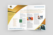 Technology Services Brochure, a Brochure Template by StockLayouts (Thumbnail 2 of 4)
