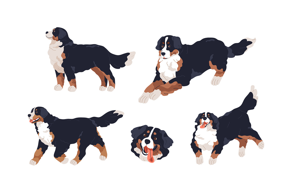 Cute bernese mountain dog set, an Animal Illustration by Good Studio (Photo 3 of 6)