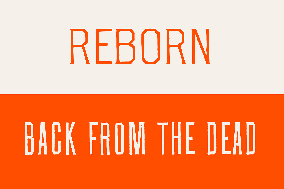 Vintage Tall Sans and Spur Serif, a Sans Serif Font by Century Library (Photo 3 of 5)