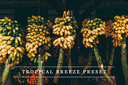 Tropical breeze - Lightroom preset