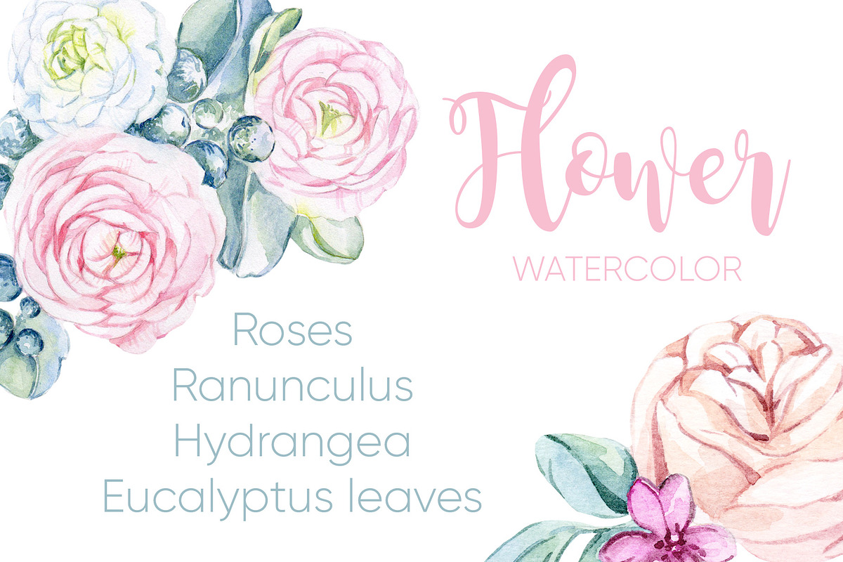 Watercolor Honey GIRL&BOY collection, an Animal Illustration by S_ARTLOVE (Photo 3 of 11)