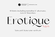 Erotique Sans - 10 fonts, a Sans Serif Font by Zetafonts (Thumbnail 1 of 18)