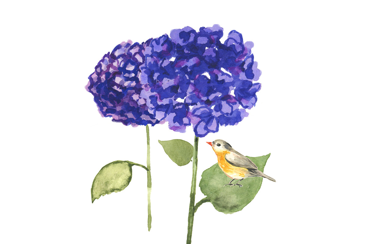 Watercolor Chinoiserie Topiary, an Illustration by RhianAwni (Photo 8 of 8)