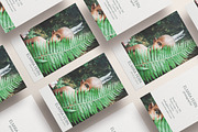 FERN BUSINESS CARD TEMPLATE (PSD), a Templates & Theme by Studio Letsch & de Clercq (Thumbnail 2 of 2)