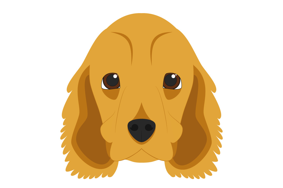 Cocker Spaniel Vector Illustration