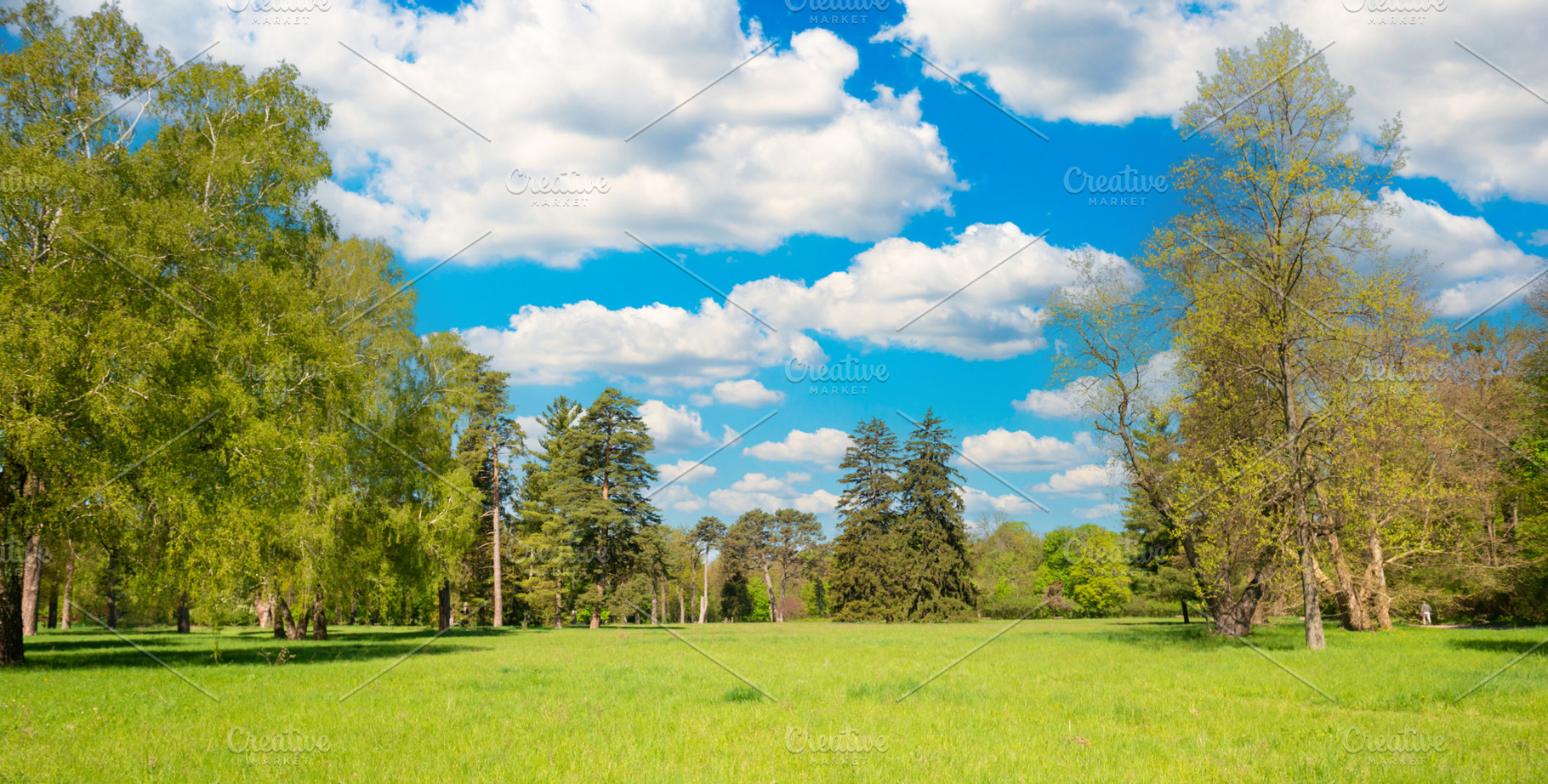 Green park forest panorama with green trees, a Nature Photo by Vapi