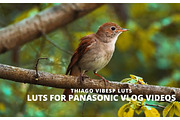 Cinematic Panasonic V-Log LUTs, a Preset Add-On by Creative House (Thumbnail 2 of 4)