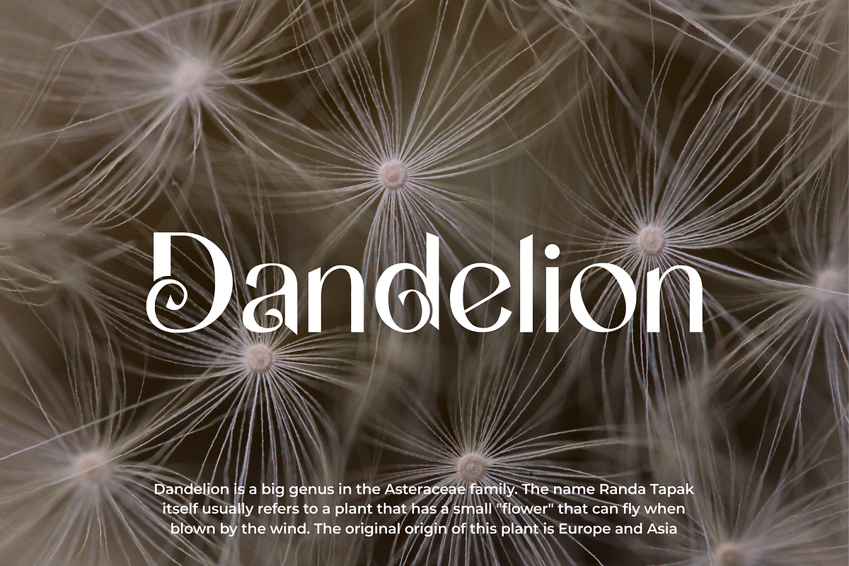Bugaeil - A Elegant Typeface, a Sans Serif Font by Vroz Studio (Photo 8 of 8)