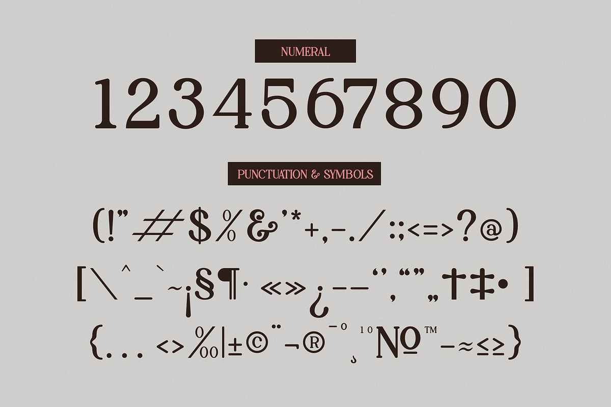 Palenk Radney | Modern Retro Serif, a Serif Font by Denustudios (Photo 9 of 13)