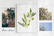 Olive Branches Watercolor Clipart, a Food Illustration by YarovaArt (Thumbnail 5 of 28)
