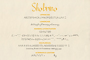 Shabrina - Brush Script Wedding Font, a Script Font by Inventype Studio (Thumbnail 5 of 9)