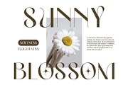 Elegant Sans - Miguela Verona, a Sans Serif Font by Novitype (Thumbnail 7 of 12)