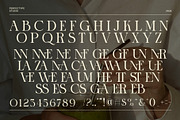 Sonner Elegant Serif Font, a Serif Font by Perfectype (Thumbnail 8 of 8)