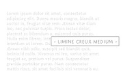 Limine, a Font by TeGeType foundry (Thumbnail 4 of 5)
