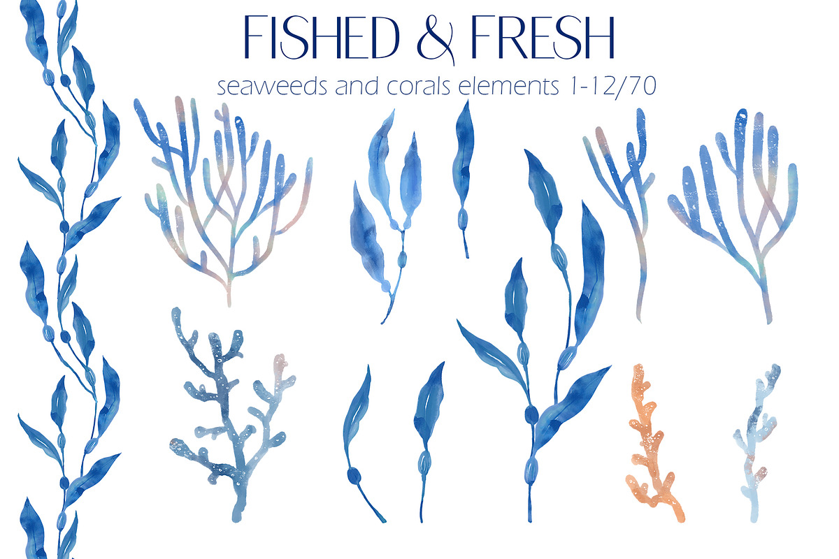 Fished & Fresh Seafood poster maker, a Food Illustration by Elena Dorosh (Photo 3 of 18)