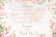 Shiny Aisyah - Handwritten Font, a Script Font by StringLabs (Thumbnail 11 of 11)