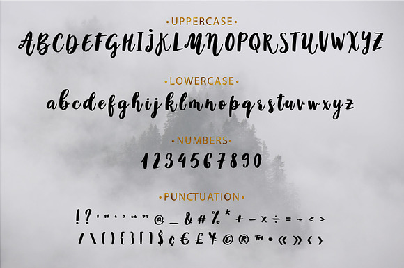 Vision bold script font preview 8