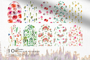Wild flowers collection, a Texture Illustration by Skliarova (Thumbnail 11 of 11)