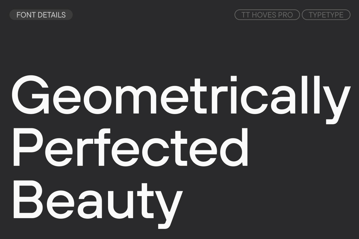 TT Hoves Pro Basic, a Font by TypeType (Photo 3 of 15)