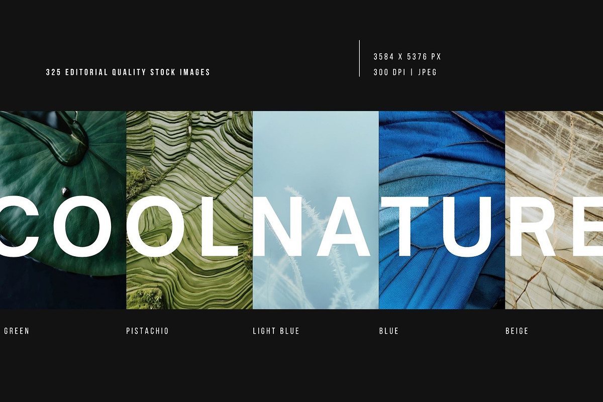 Cool nature | 325 stock photos, a Background Photo by Tale.Haus (Photo 2 of 19)