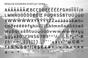 Requin - Modern Display Sans, a Sans Serif Font by Almeera Std (Thumbnail 8 of 8)
