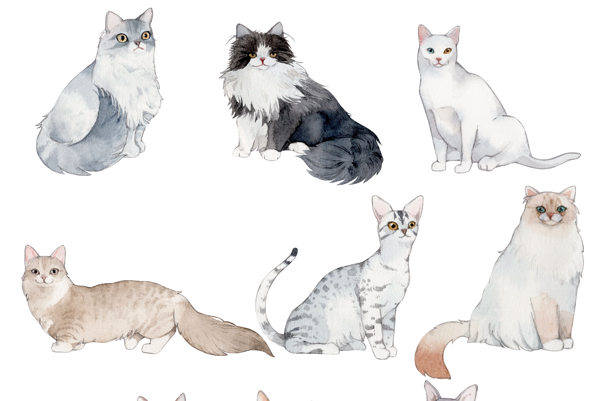 50 Hand-drawn Watercolor Cats, an Animal Illustration by ArtbyHien (Photo 6 of 7)