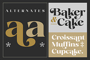 Fanilex, a Serif Font by Propertype (Thumbnail 3 of 16)