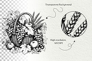 Grape Harvest Vineyard Graphics, a Decorative Illustration by DENIDigitalArtSudio (Thumbnail 6 of 6)