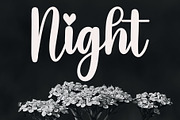 Birthday, a Script Font by FreshTypeINK (Thumbnail 3 of 8)