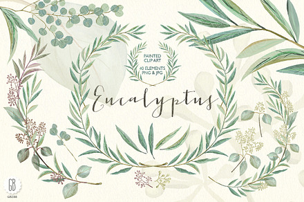 Eucalyptus wreath and leaves