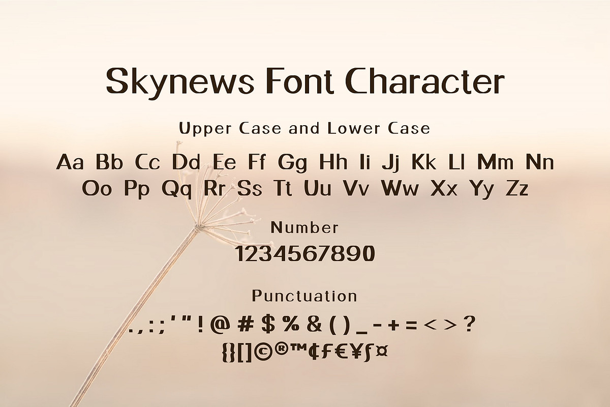 Skynews Modern Sans Serif Font, a Sans Serif Font by Gumrega Studio (Photo 5 of 6)