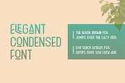 Fischel Elegant Condensed Family, a Sans Serif Font by 160 Studio (Thumbnail 4 of 16)