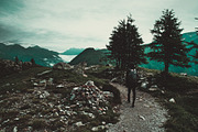 Dark & Moody Lightroom Presets, an Action Add-On by Maple Visuals (Thumbnail 9 of 9)