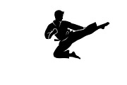 Dynamic martial arts kick silhouette, a Graphic by Amazin_art (Thumbnail 20 of 36)