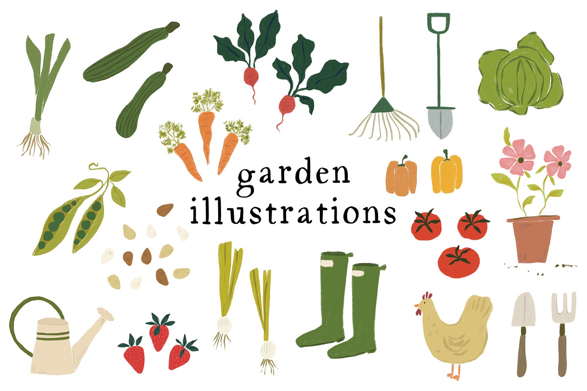 Garden Illustrations, a Food Illustration by Olive & Lu Paper (Photo 2 of 3)