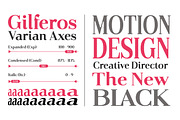 Gilferos, a Serif Font by Gatype (Thumbnail 12 of 16)