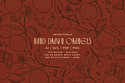 Hand Drawn Oranges, a Decorative Illustration by Neptune Paper Co. (Thumbnail 1 of 2)