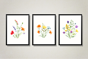 Watercolor Wildflowers clipart, a Decorative Illustration by Lemon design (Thumbnail 20 of 21)