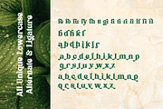 Flagfies - Modern Retro Font, a Serif Font by Dhabee (Thumbnail 6 of 15)