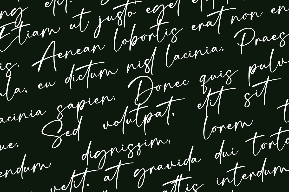 Signatura Onellander Handwritten, a Handwritten Font by Basnistudio (Photo 2 of 14)