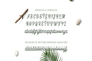Kanto Script | A Monoline Typeface, a Script Font by Nicolas Fredrickson (Thumbnail 3 of 10)